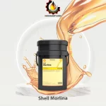 Shell Morlina