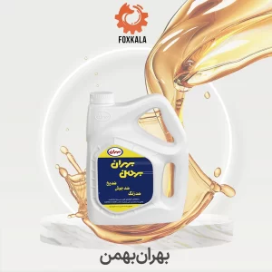 بهران بهمن